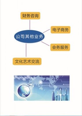 上海光謙企業管理咨詢 專業財務咨詢，賦能企業穩健發展